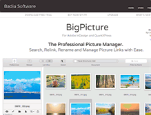 Tablet Screenshot of bigpicture.badiasoftware.com